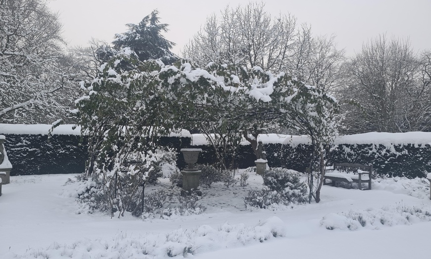 Image 22: Enjoy Festive family fun with Entry Tickets for Adults and Childrens