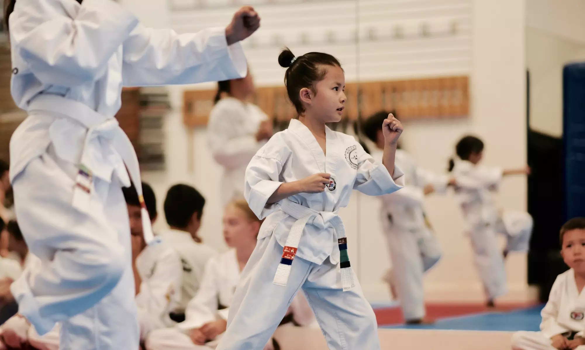 Two Taekwondo Classes at Lims Taekwondo (Up to 90% Off) - Primary Image