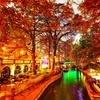 Image 2: ✈ Venice & Milan: 4 or 6 Nights with Hotel and Flights