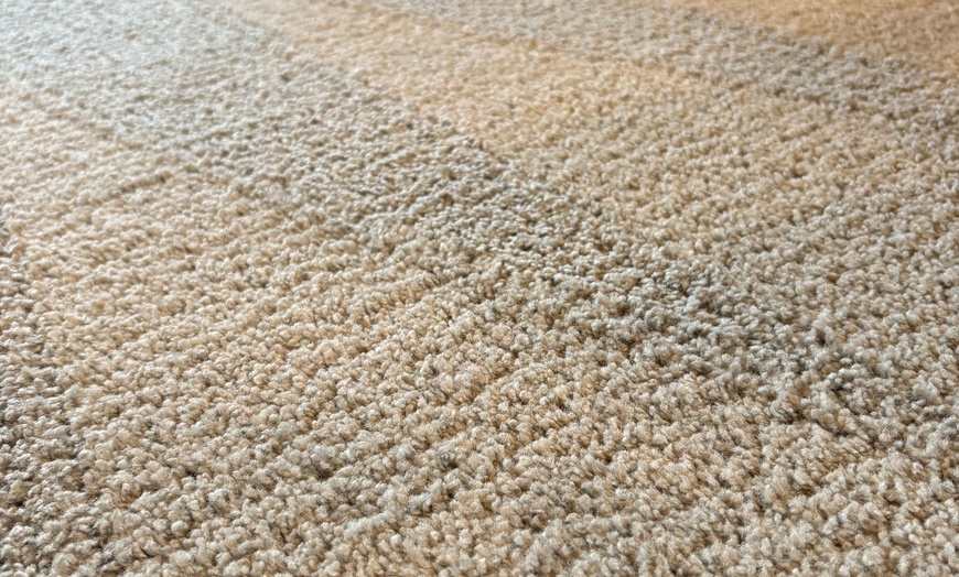 Image 7: Kid and pet friendly carpet cleaning @ Clean & Green Carpet Cleaning