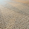 Image 7: Kid and pet friendly carpet cleaning @ Clean & Green Carpet Cleaning