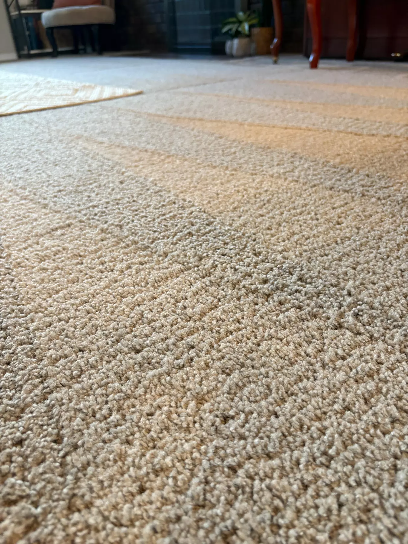 Upto 65% Off on CarpetCleaning @ Clean & Green Carpet Cleaning
