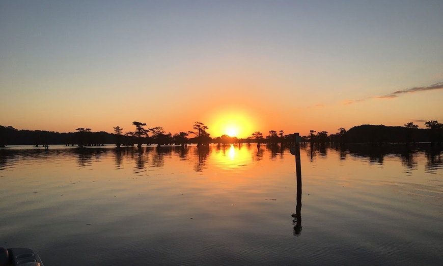 Image 2: Up to 30% Off Scenic Boat Tours on Caddo Lake