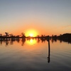 Image 2: Up to 30% Off Scenic Boat Tours on Caddo Lake