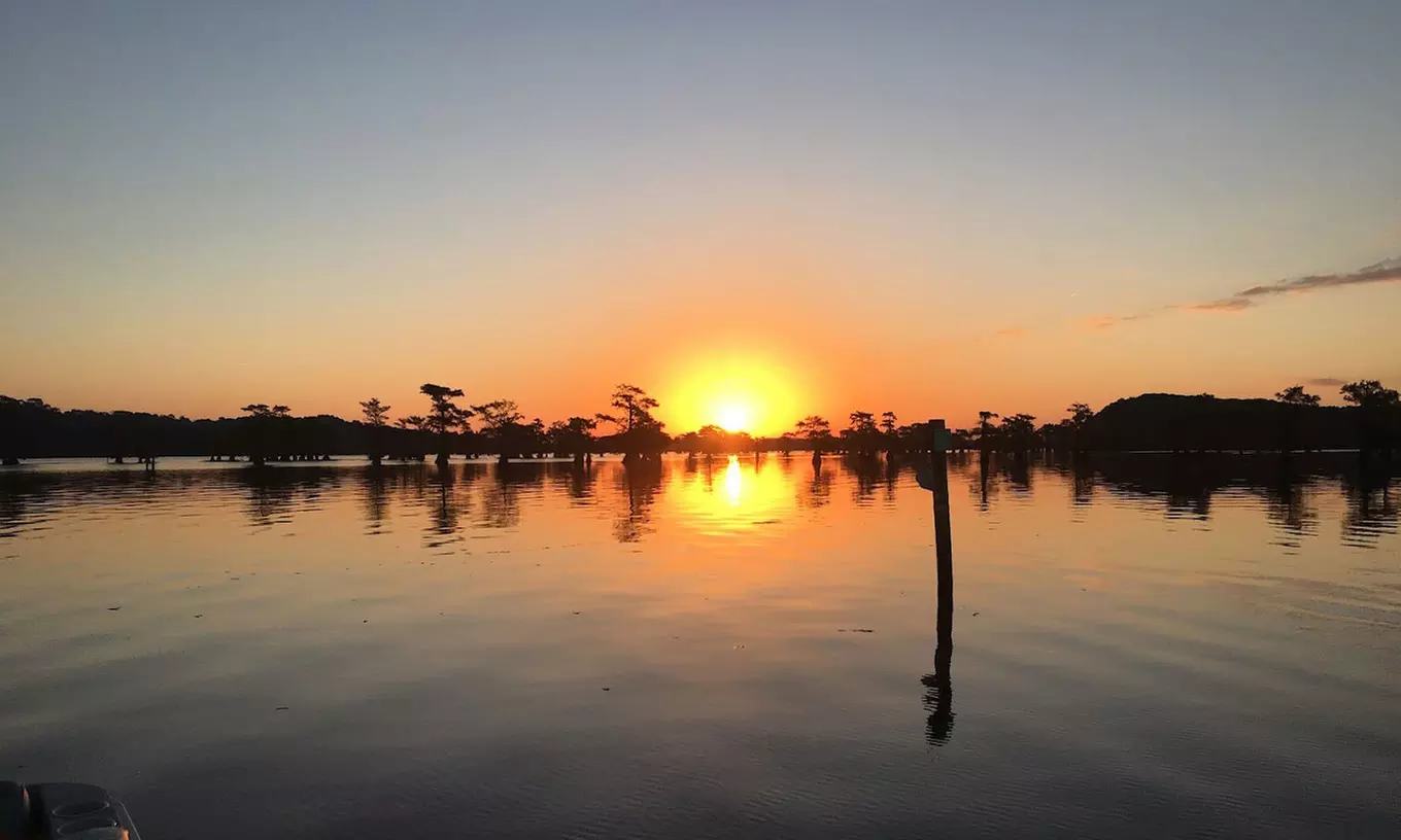 Explore the beauty of Caddo Lake on a 1.5-hour scenic boat tour 