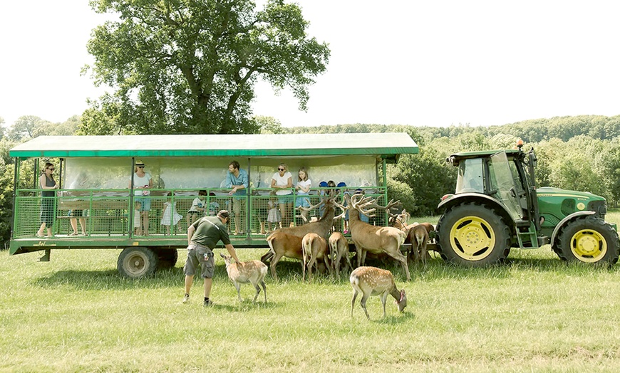 Image 1: Enjoy A Sight of Red, Sika, Fallow & Axis Deers with Soft Play Tickets