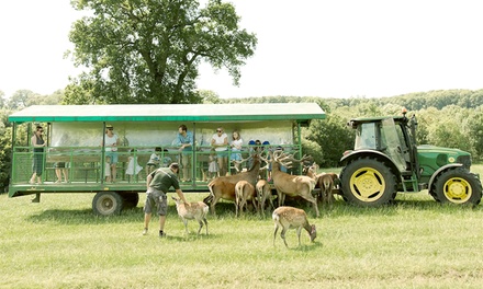 Two Farm and Soft Play Tickets Off Peak - Bucklebury Farm Ltd