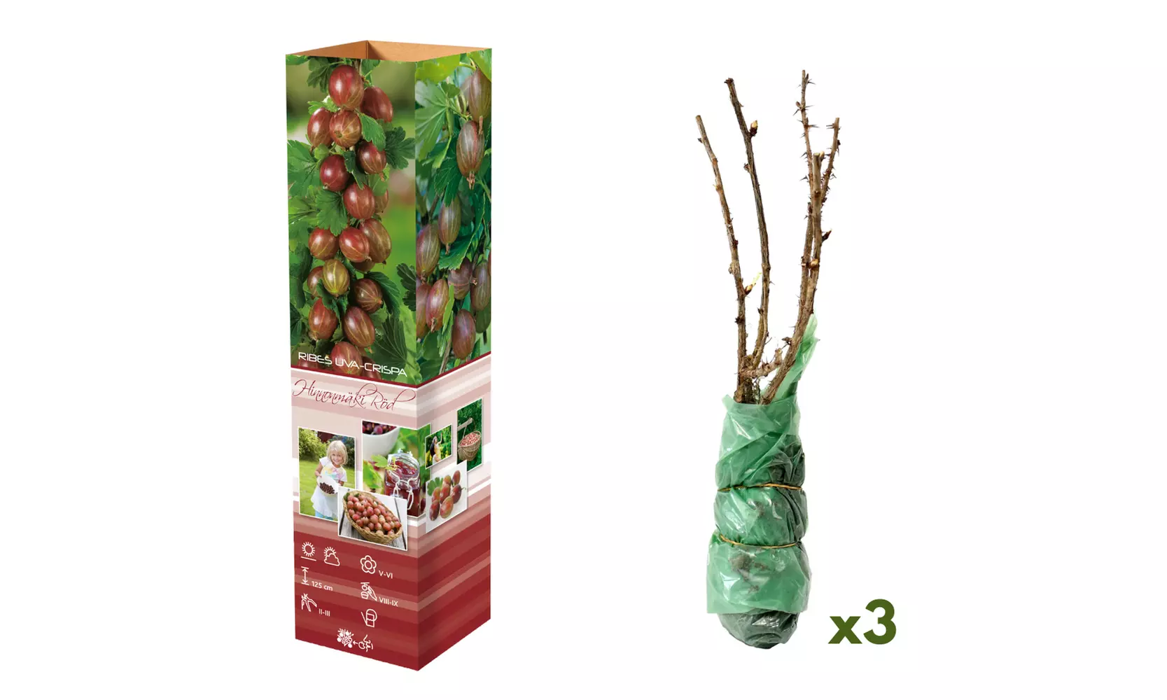 Pack de grosellas a elegir de Gardenzo