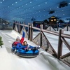 Image 6: Ski Dubai: Year-Round Indoor Snow Fun & Winter Adventures