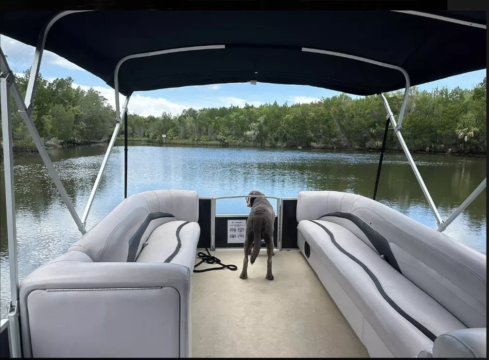 Eco Boat Tours & Scalloping – Florida's Gulf Coast