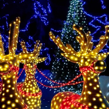 lights