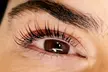 Keratin Lash Lift & Tint or Classic Lash Lift at Cree Violet Beauty (Up to 32% Off) - Image 3
