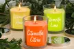 Citronella Scented Candle Collection - Set of 3 - Second Medium