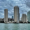 Image 16: 90-Min Miami Skyline & Millionaire Homes Boat Tour with VIP Views