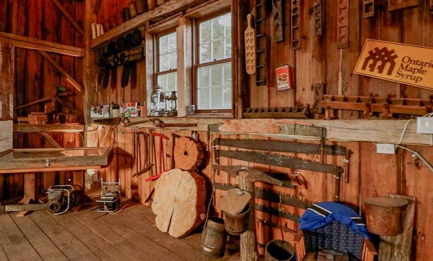 Image 3: Join an Interactive Maple Experience Tour for Senior/Youth 