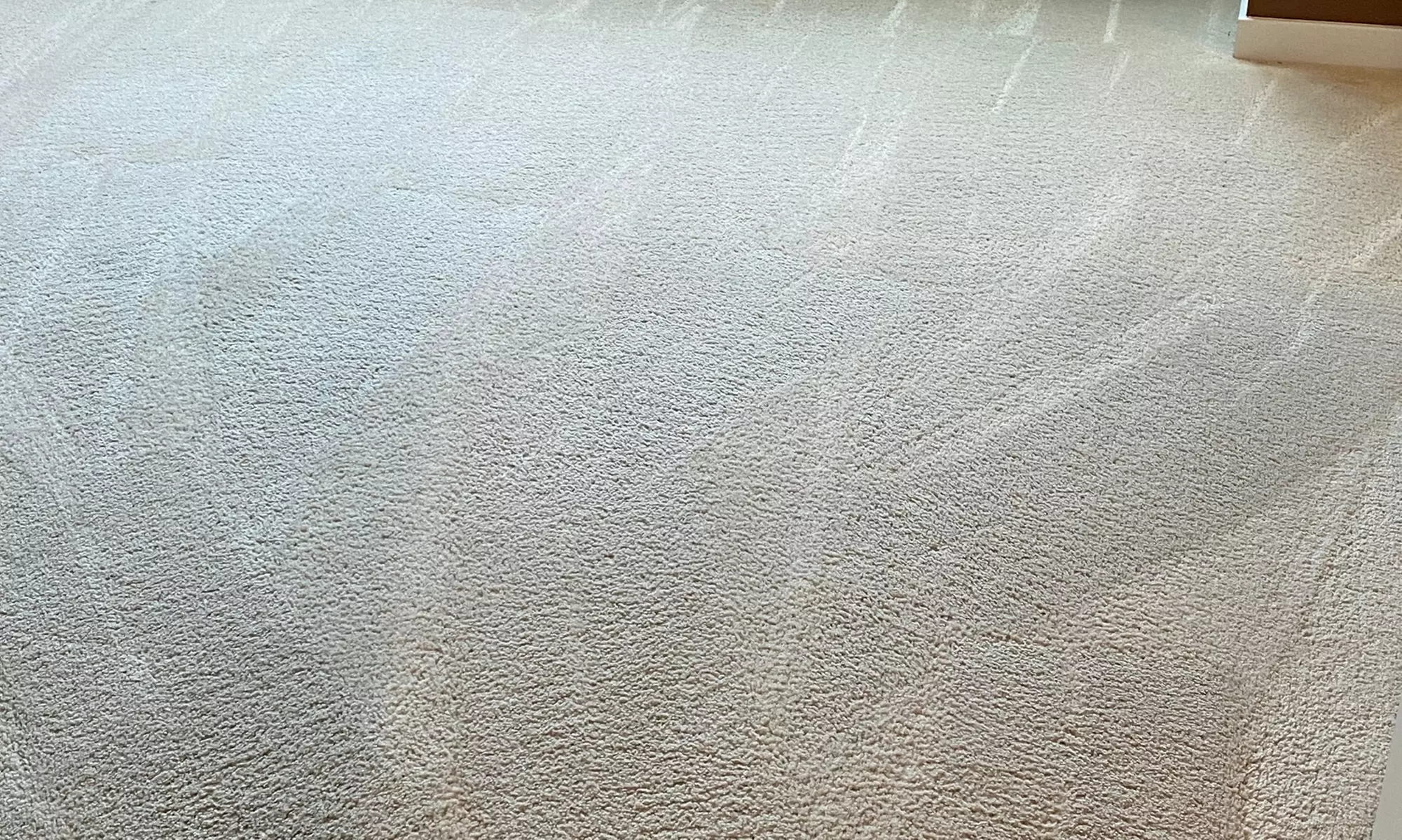 Feel Fresh: Carpet Cleaning for 3 or 5 Rooms or Upholstery Cleaning