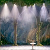 Image 2: Swan Lake: 1 Ticket am 30. oder 31.05.2025 um 20 Uhr