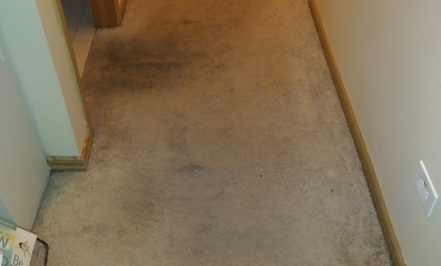 Image 6: Enhance Comfort with Carpet Cleaning for 2, 3, or 4 Rooms