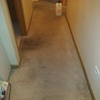 Image 6: Enhance Comfort with Carpet Cleaning for 2, 3, or 4 Rooms