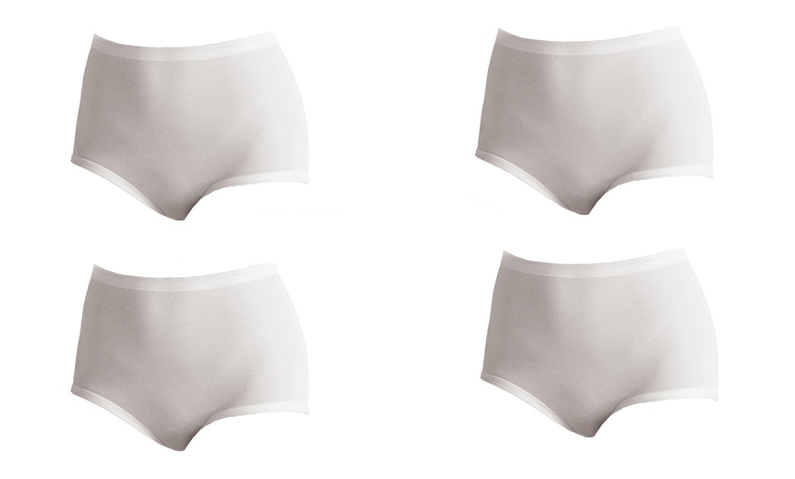 Image 3: Culottes taille haute Cotonella, grandes tailles