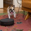 Image 12: Smart bObsweep Robot Vacuums/Mops: Self-Emptying & Eco-Friendly