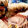Image 3: Sip and Savor - Enjoy Beer Flights for Up to Four People