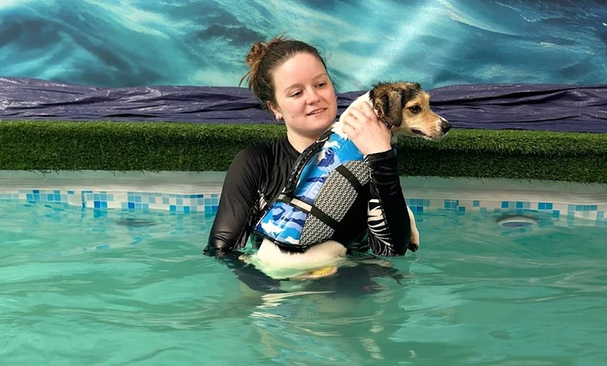 Image 7: Water Fun Awaits: Doggy Fun Swim Session (Owners Welcome to Swim Too)