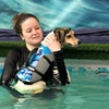 Image 7: Water Fun Awaits: Doggy Fun Swim Session (Owners Welcome to Swim Too)