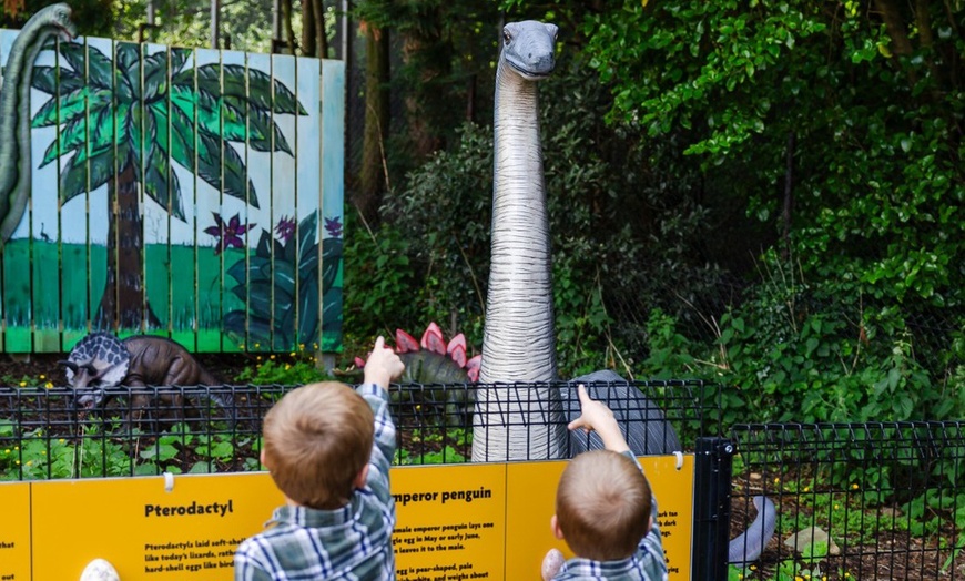 Image 11: General Admission to Belfast Zoo For Child, Adult, or Family 