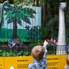 Image 11: General Admission to Belfast Zoo For Child, Adult, or Family 