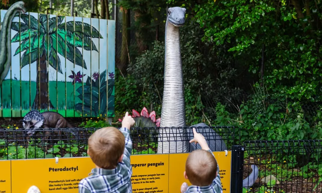 General Admission to Belfast Zoo For Child, Adult, or Family