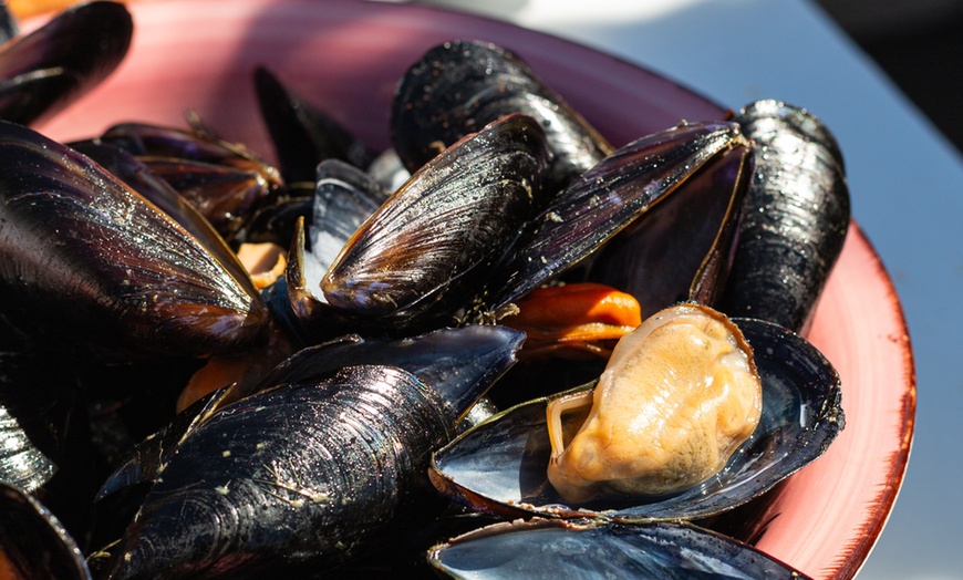 Image 6: Salida en catamarán con degustación de mejillones y una bebida para 1