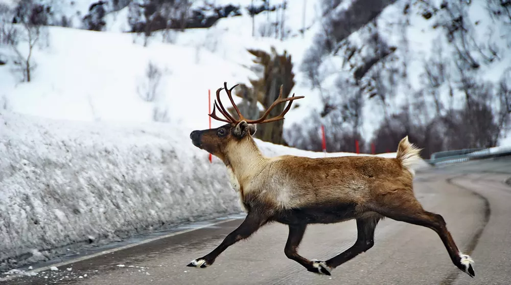 Jednodniowa wycieczka z Krakowa do Sandefjord w Norwegii