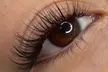 Up to 66% Off on Eyelash Extensions at U Beauty Med Clinic - Second Medium
