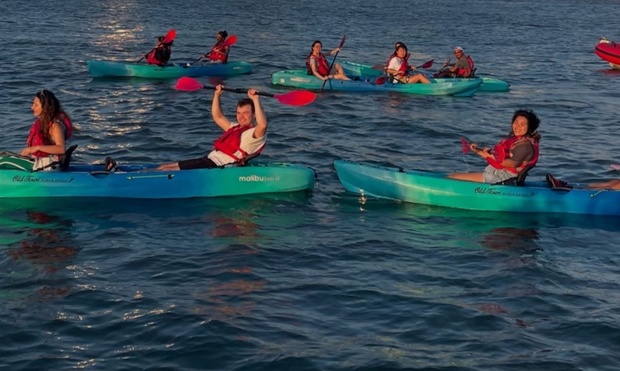 What to expect media