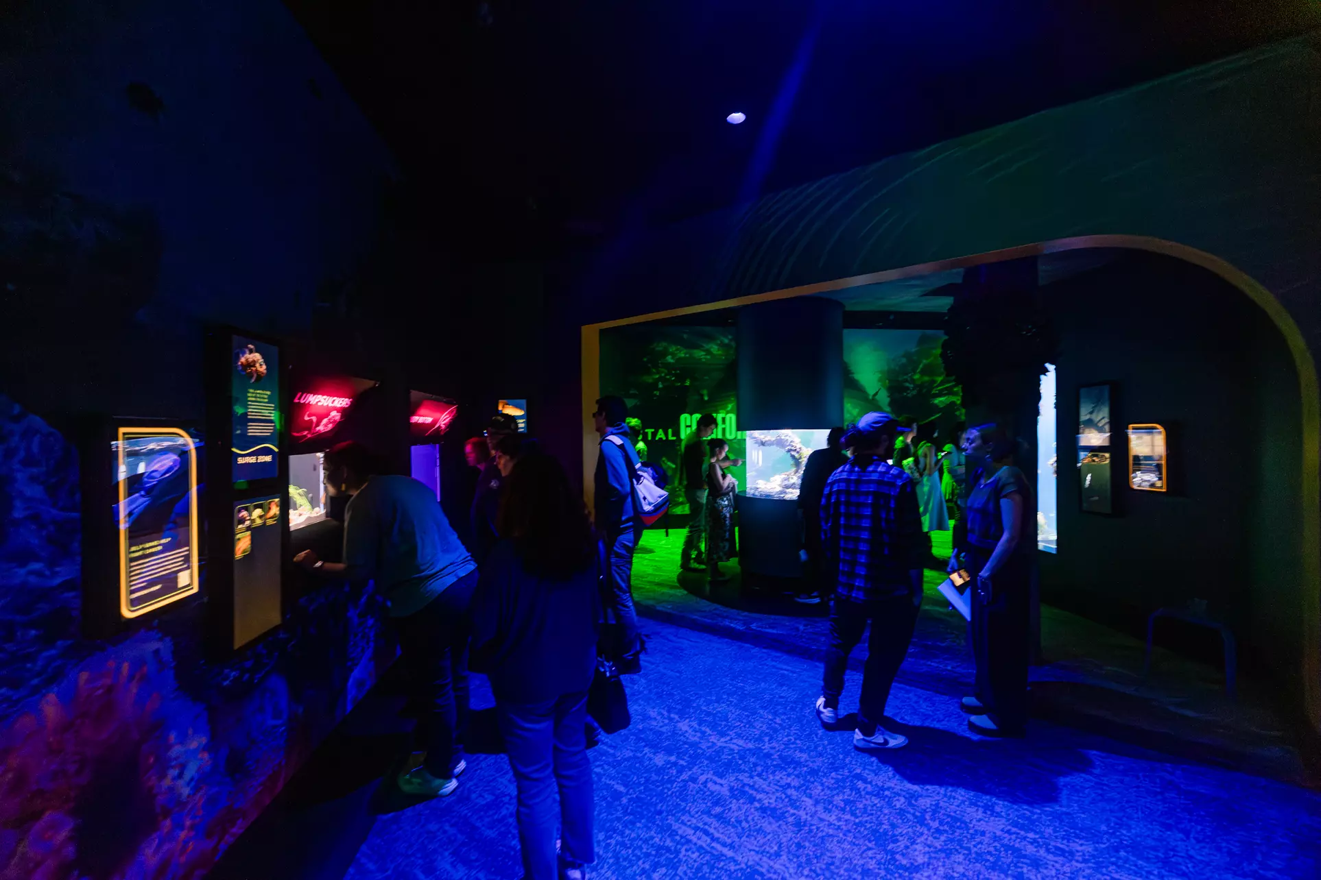 Immerse in a Seas 'n' Greetings Winter Wonderland at Birch Aquarium at Scripps (Save up to 31%)