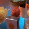 Image 6: Revitalize Your Body with a 60 or 90-Min Personalized Massage Session