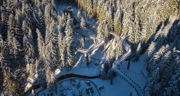 Odkryj magię natury w Centrum Przyrodniczo-Edukacyjnym Brama w Gorce