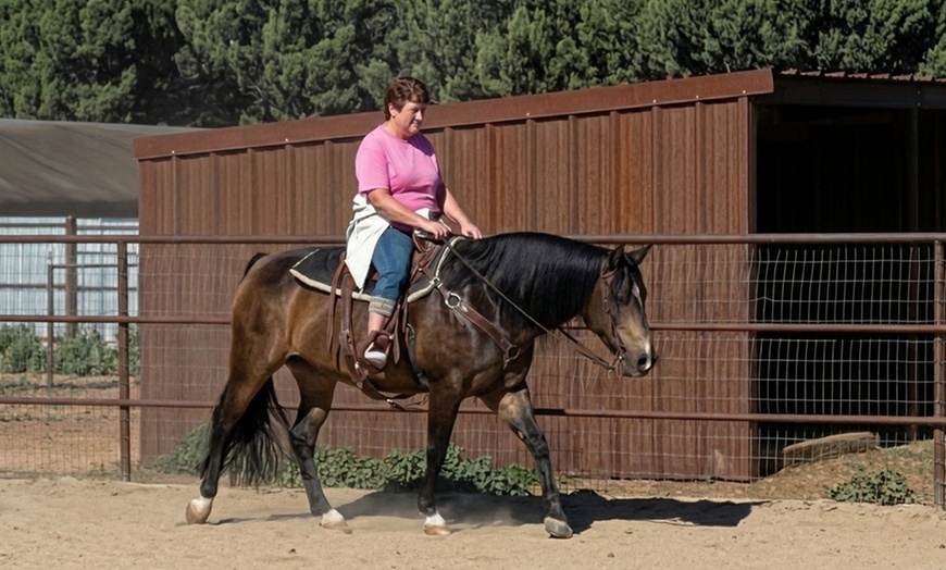 Image 4: Horseback Riding Lessons for All Ages – Develop Horsemanship Skills