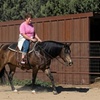 Image 4: Horseback Riding Lessons for All Ages – Develop Horsemanship Skills