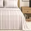 Lavender Purple Stripe