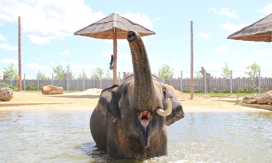 Image 2: Entrées adulte et enfant au choix au Zoo Refuge La Tanière 