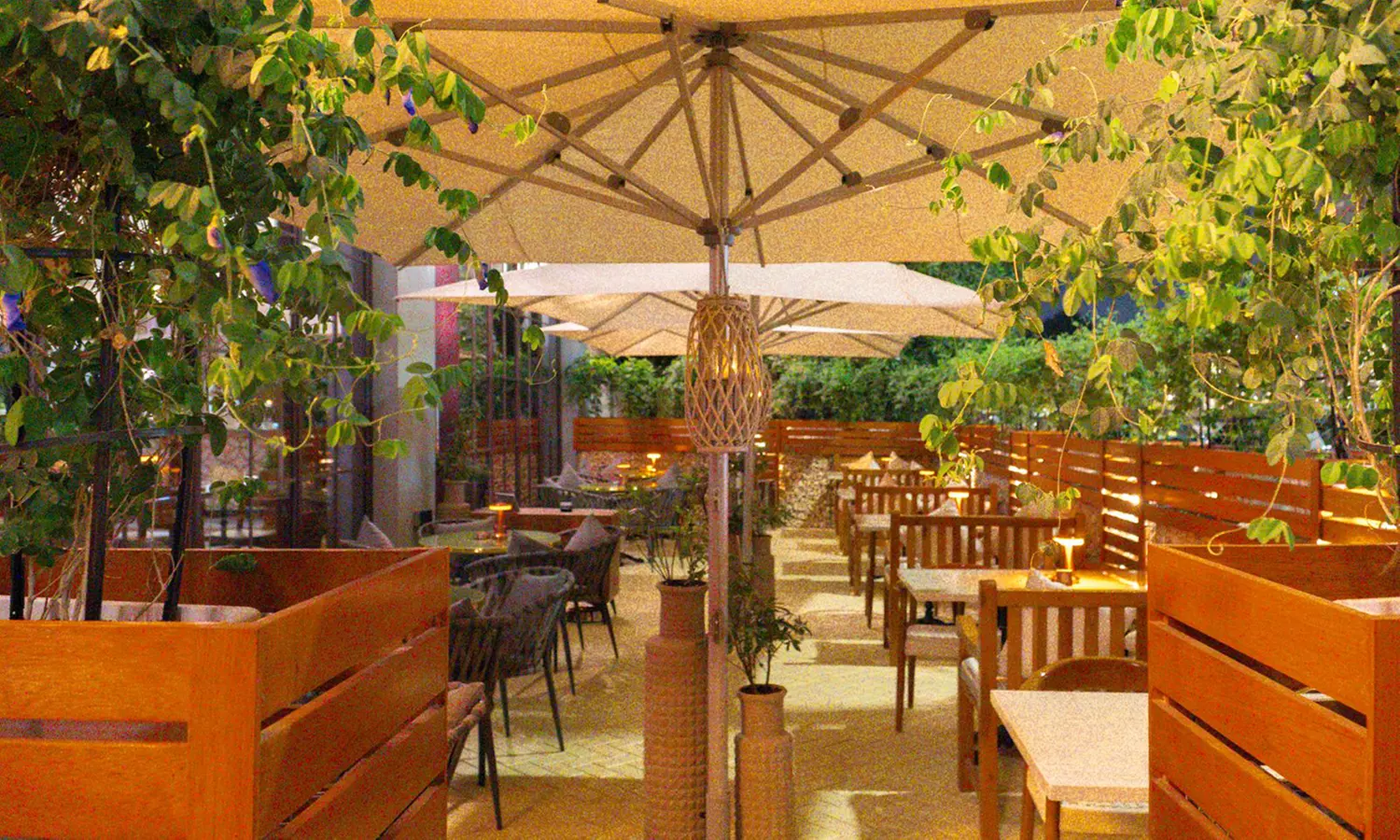 Enjoy AED 50 Towards Delicious Dine-In Dishes