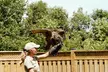 Admission for 2, 3, or 4 Guests to Safari Niagara  (Up to 31% Off) - Second Medium