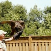 Image 4: All-Day Admission to Safari Niagara in Fort Erie, Ontario for Up to 4