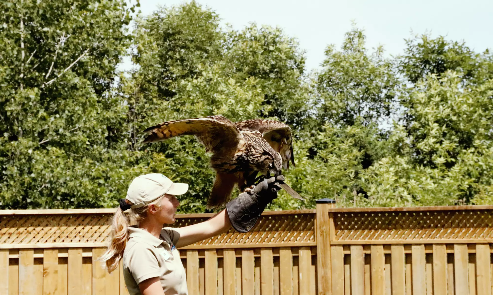 Admission to Safari Niagara (Up to 31% Off)