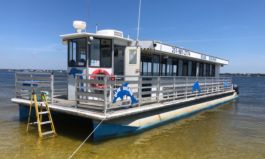 Image 3: Explore Waters of Pensacola, FL:  90-Min Dolphin Tour or Sunset Cruise
