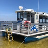Image 4: Explore Waters of Pensacola, FL:  90-Min Dolphin Tour or Sunset Cruise