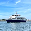 Image 1: Whale, Dolphin & Bird Watching Cruises - Guaranteed Wildlife Sightings