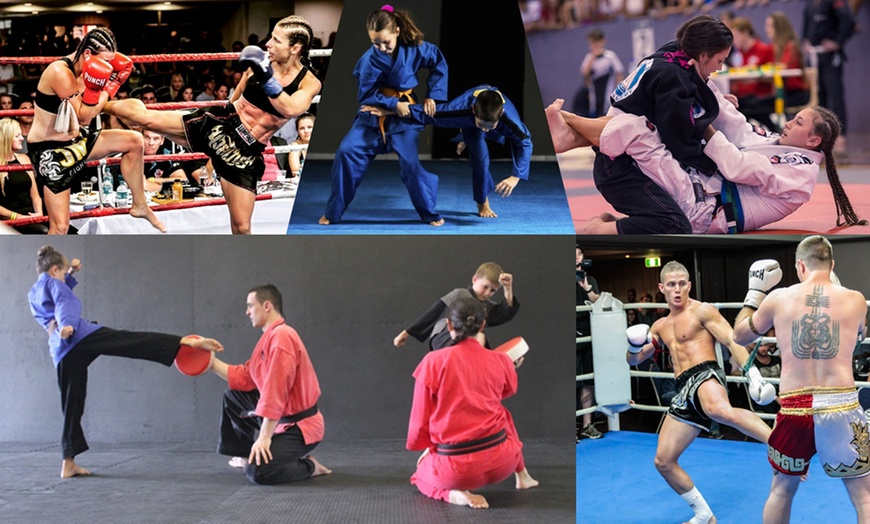 Image 1: Five Martial Arts Classes